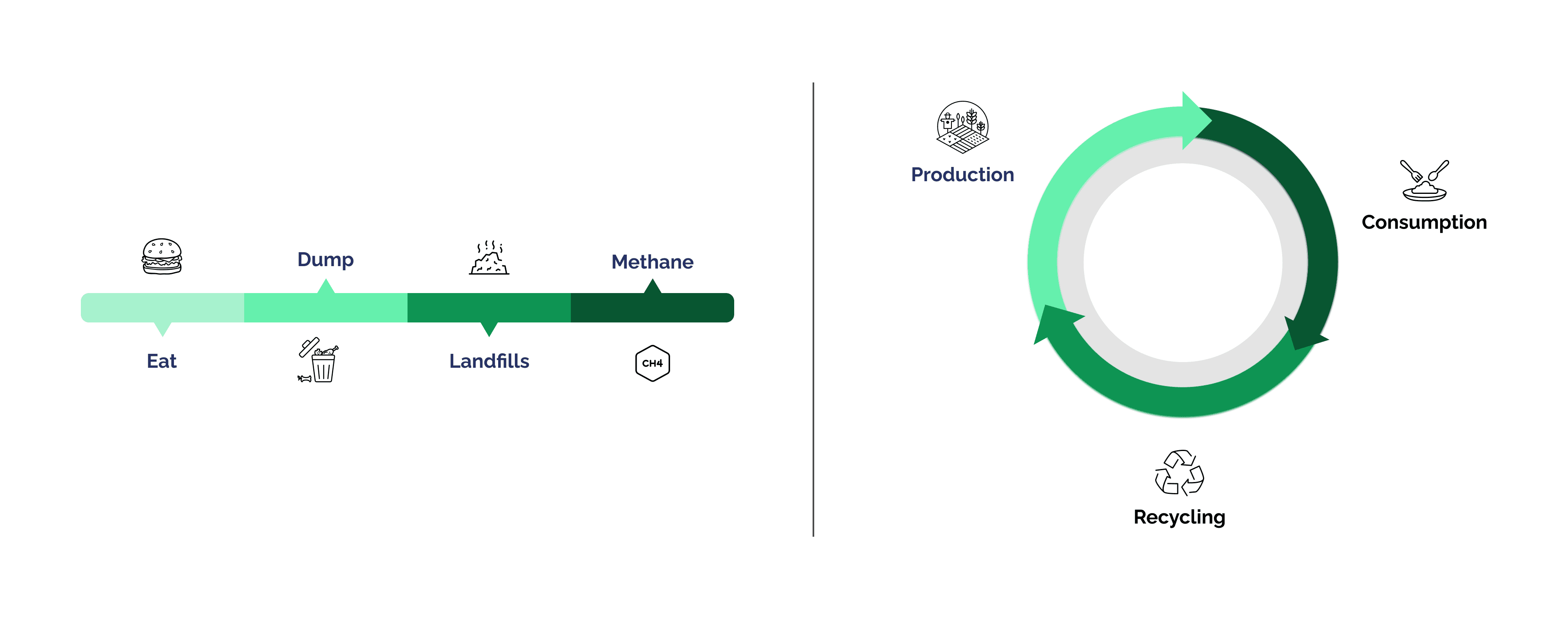 Linear vs Circular Graph