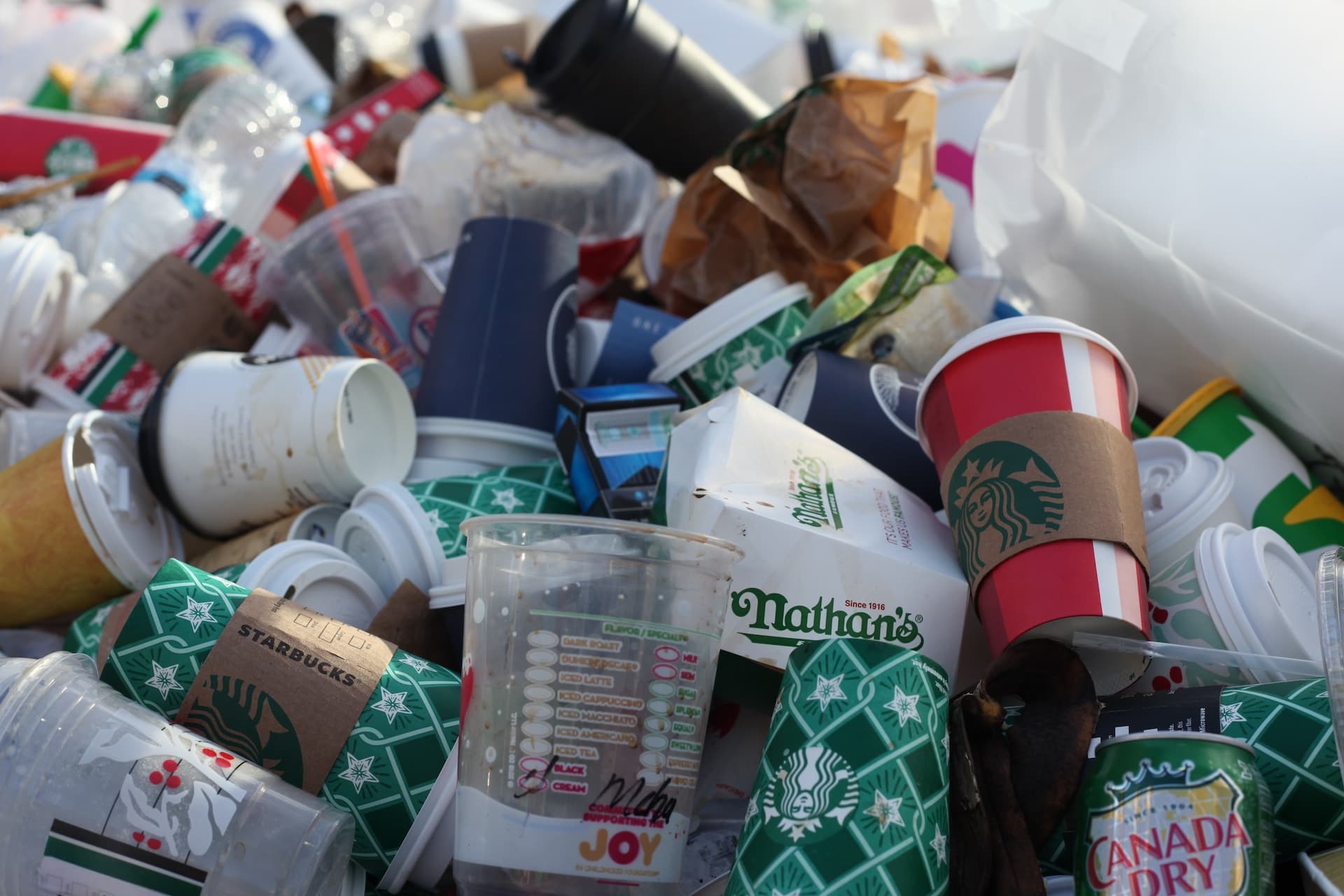 Cover Image for If you want to waste, waste consciously